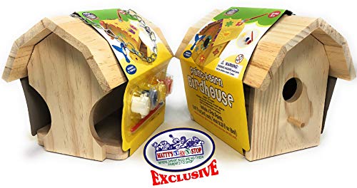 Matty's Toy Stop Paint-A-Barn Wooden Birdhouse & Bird Feeder (Includes Paints & Brushes) Gift Set Bundle - 2 Pack