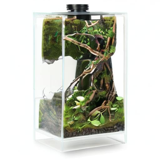 Desktop Glass Plant Terrarium with Grow Light for Carnivorous Plants & Moss