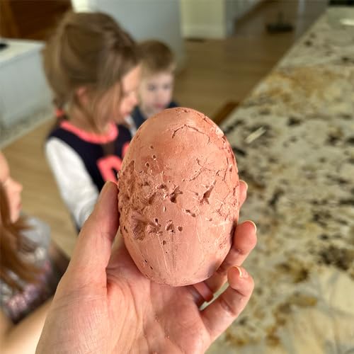 Big Discoveries Dino Egg Excavation Kits from Discover Prehistoric Dinosaur Eggs | Interactive Fossil Archaeology Dig Kit Toy for Kids | Six Dinosaurs to Collect (Pack of 3) - size: 2.9 x 2.9 x 5.0 inches (Pack of 3)