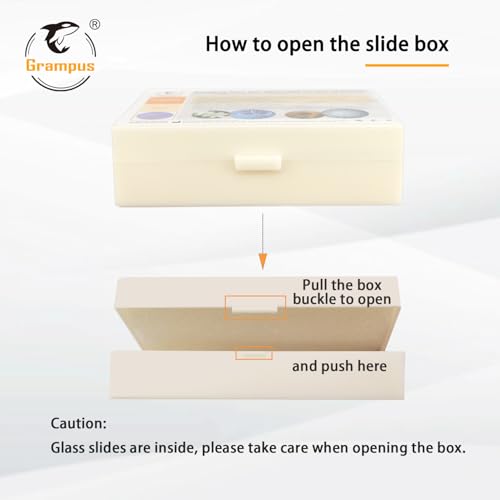 30 Prepared Microscope Slides with Specimens for Kids Students - Animal Microscope Slide Sets for Biological Lab, Children's Science Education, Homeschooling - style: 30PCS Animals