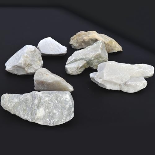 EISCO 6PK Raw Fine White Marble, Metamorphic Rock Specimens - Approx. 1" - Geologist Selected & Hand Processed - Great for Science Classrooms - Class Pack