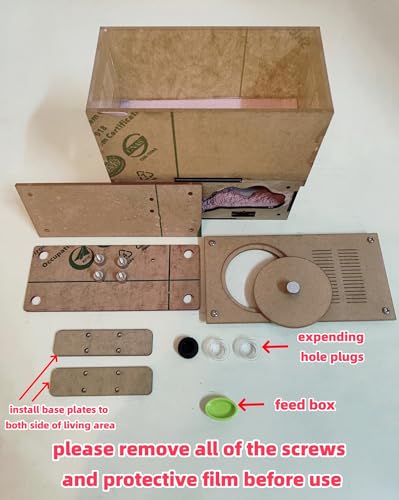 Ant Farm,Nest, House, Ant Behavior Study House, Middle Size House.