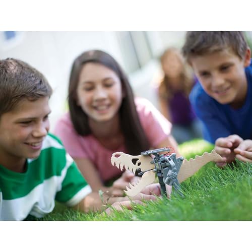 4M Green Science Solar Robot Kit, DIY Walking Robot STEM Toy for Kids 5+