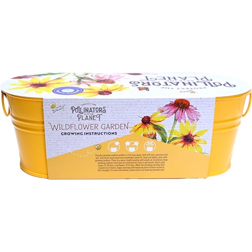 Buzzy Seeds Coneflower & Black-Eyed Susan Grow Kit, Metal Planter