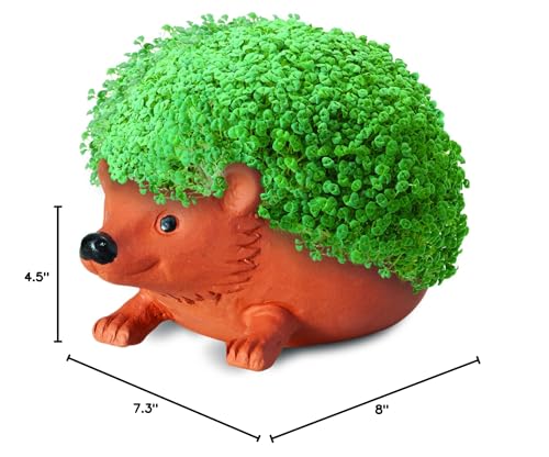 Chia Pet Hedgehog with Seed Pack, Decorative Pottery Planter, Easy to Do and Fun to Grow, Novelty Gift, Perfect for Any Occasion, Terra Cotta - style: Hedgehog