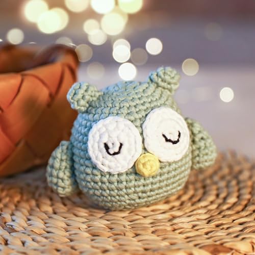 Complete Beginners Crochet Kit - Owl Crochet Kit, All You Need for Crocheting, Step-by-Step Video Tutorials, Instruction, Tools, Holiday Birthday Gift for Adults, Teens - color: Owl