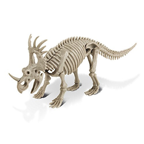 cl1669 K – Dino Excavation Kit, Styracosaurus Skeleton