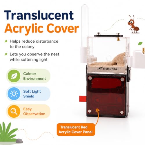 Vertical Ant Nest – Upper Activity Zone & Lower Dual-Chamber Nest, Expandable with Red Barrier, Built-in Humidity Control, Easy Observation