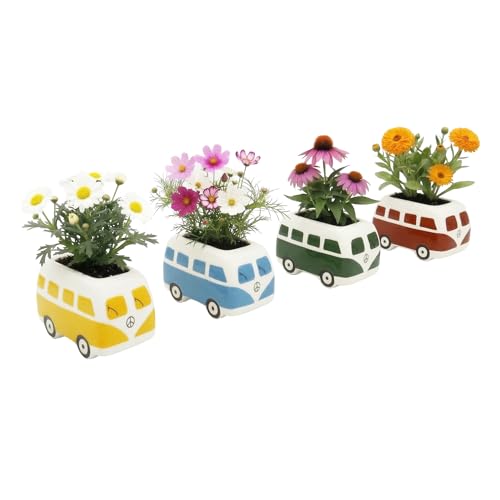 Buzzy Seeds Retro Bus Grow Kit 4-Pack, Ceramic Planters, Flower Seeds