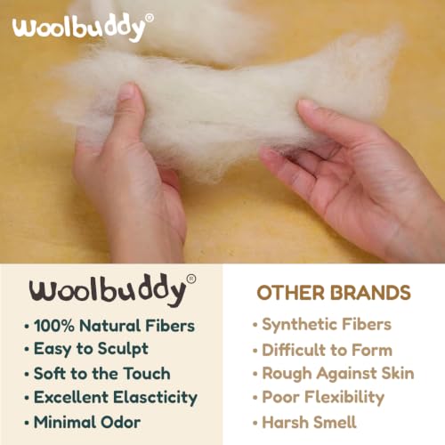 Woolbuddy Needle Felting Kit Starter Set (Dinosaur) for Beginner & Adults - color: Dino Kit