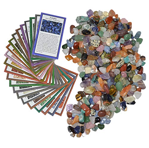 Fantasia Materials: 2 lbs XXSmall Tumbled Polished Natural Gem Stones with Educational Rock Information and Identification Cards - avg 0.25" to 0.75" - color: #A: Xxsmall, size: 2 lb Lot - Standard Pack