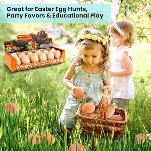 Zippytots Dinosaur Egg Dig Kit 12 Unique Eggs STEM Science Toy for Kids 3-8 | Premium Safe Material | Gold Glow & Color-Change Dinos | Complete STEM Dig Kit with Tools & Cards | Top Science Gift
