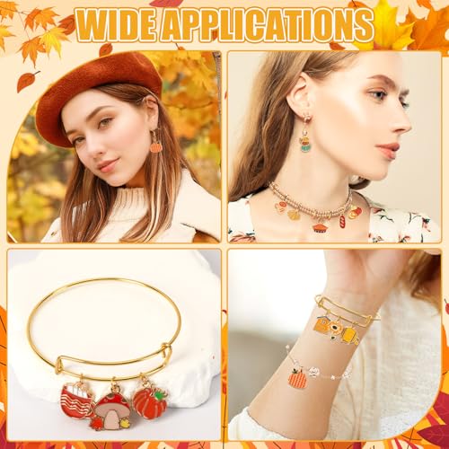 SANNIX 350Pcs Fall Charms, Thanksgiving Charms for Jewelry Making Bulk - color: Fall Color