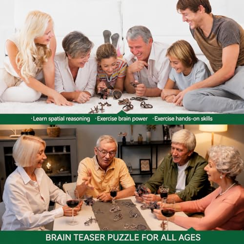 Mytothfy Brain Teaser Puzzles for Adults Teens Kids, 3D Puzzle Game Toys - color: Style B