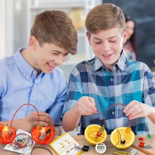 Science Kits for Kids, 6 Pack Fruit Battery Bulk STEM Circuit Kits 6-12