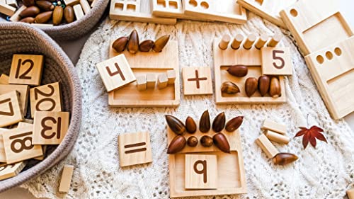 LITTLE BUD KIDS Counting Pegs - A Ten Frame Math Game with Addition and Subtraction Flash Cards, A Wooden Montessori Math Toy & Math Manipulatives Number Peg Boards for Kids 3 4 5 6 7