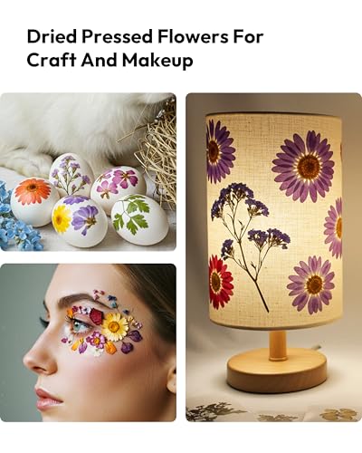 Dried Flowers, Resiners 100Pcs Pressed Flowers for Craft Purple Real Natural Dried Flowers Dry Leaves Kit for DIY Making Crafts Resin Soap Candle Scrapbook Supplies Card Making Jewelry - color: Violet 100pcs
