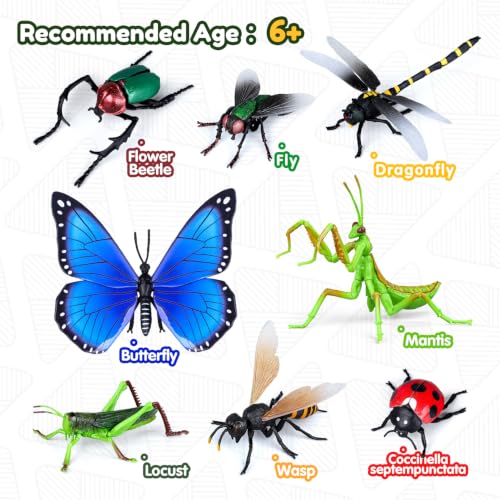Drefirsa 8Pcs Realistic Bug Building Toy, Educational Toy for Kid Age 6+