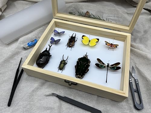 Making Insect Specimen Tools Kit - Insect Pins, Shadow Box, Pinning Board, Wings Pressing Paper, Tweezers, Scissors - Collection Display for Bug Hobbyists/Biology Projects