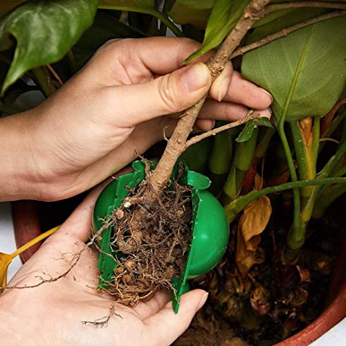 18 Pack Tree Root Growing Box, Rooting Ball Grafting Tools,High Pressure Plant Propagation,Air Layering pods, Grafting Ball Device for Plant Cutting Seedlings