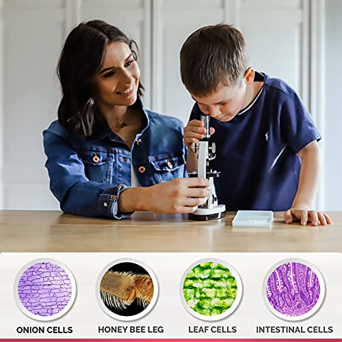 AmScope M30-ABS-KT1-W-WM 1200X 48-pcs Microscope Kit with Slides, LED