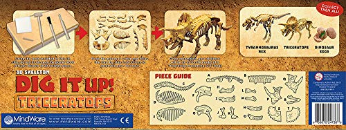 MindWare Dig It up! Triceratops