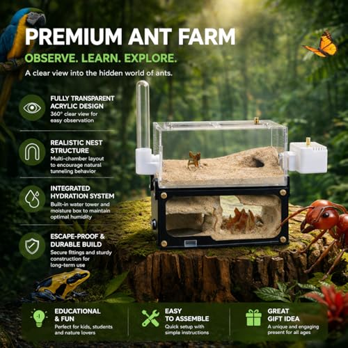 Strata Series - DualView M Ant Nest with Starter kit - size: DualView M