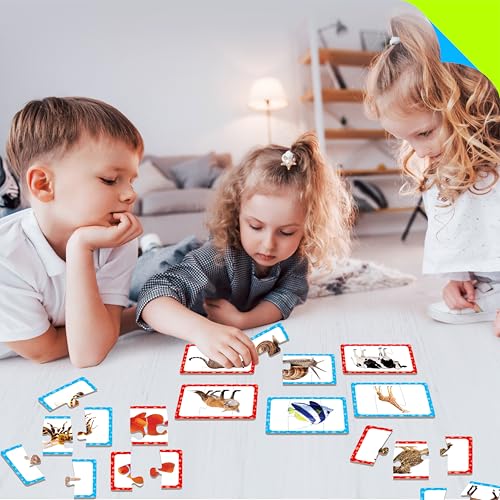 48 Animal Matching Puzzles with Error-Correction, 3-Piece Self-Correcting Puzzle Matching Game Educational Learning Activities for Toddlers, Animal-Themed Learning Games Toys for 3 Years Old - style: 24 Blocks Double Sided-C