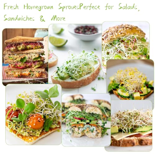 Seed Sprouting Kit & Green Onion Regrower, 2×32 Oz Wide-Mouth Mason Jars, Sprouter Lids, Stainless Steel Stand, Sprout Tray & Light Shield, Ideal for Sprouts, Broccoli, Alfalfa & Microgreens - color: Yellow + Green + Green Onion Regrower