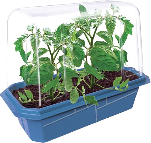 Unique Gardener Tomato Plant Garden Kit, Complete Seed Starter Set to Grow Live Plants, Indoor and Outdoor Gardening Seeds for Planting Vegetables, Just Add Water - style: Tomato