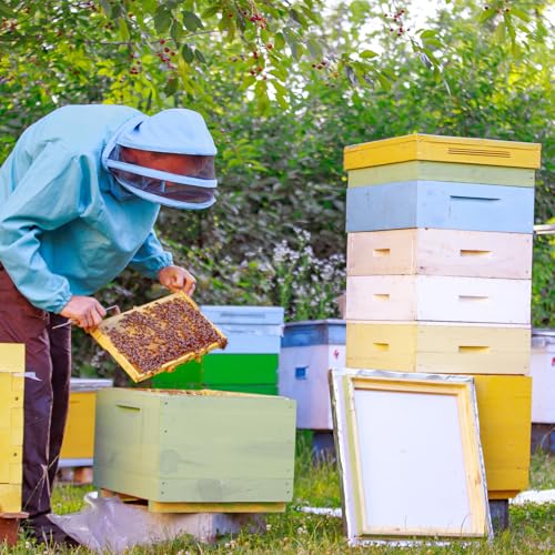 CroBlissful 2 Pcs 10 Frame Bee Hive Box