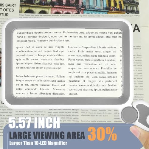 AKKYCVS Magnifying Glass with Light, Rechargeable 5X Large Page Magnifier for Reading, Folding Handheld Dimmable, LED Lighted Rectangle Magnifier for Reading Book Small Print for Seniors Low Vision - color: Grey White