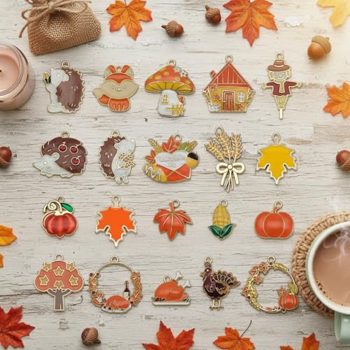 40pcs 20 pairs Assorted Enamel Bracelet Thanksgiving Day Charms for Jewelry Making DIY Necklace Bracelet Earrings Keychain Crafting Charms Kit Crafts Supplies (SN1002)