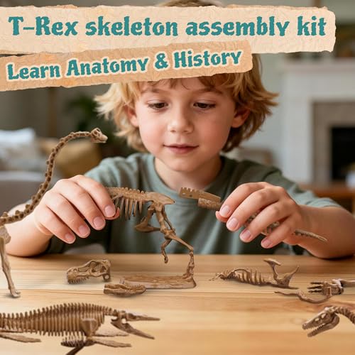 7-Pack Big Dinosaur Fossil Skeleton Building Kit | Take Apart & Rebuild Dinosaur Bones Models | STEM Science Archaeology Toy Gift for Kids 6+ | T-Rex, Triceratops, Velociraptor