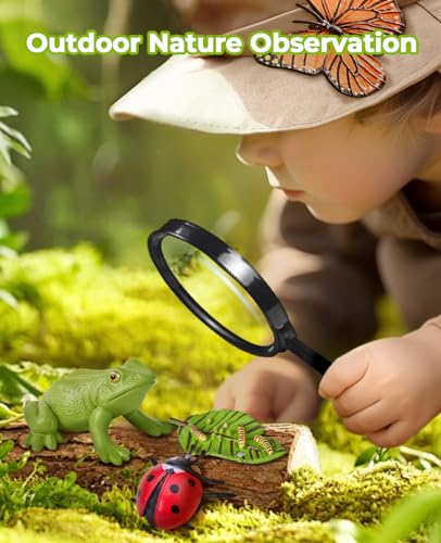 JoyCat Life Cycle Toys for Kids, 7 Animal and Plant Sets with Cards