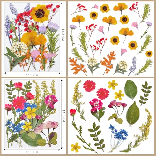 Dried Flowers 72pcs Natural Pressed Flowers and Leaves - size: 72 pcs Colorful Dried Flowers
