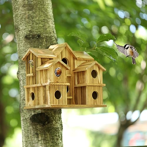 YYYUAN Cedar 10-Hole Bird House for Outside Hanging, 11x7x9 in Garden Decor