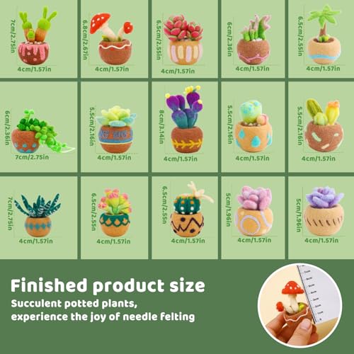 Yizzvb Needle Felting Kit, 15 Pcs Succulent Wool Needle Felt Beginner Kits - size: L