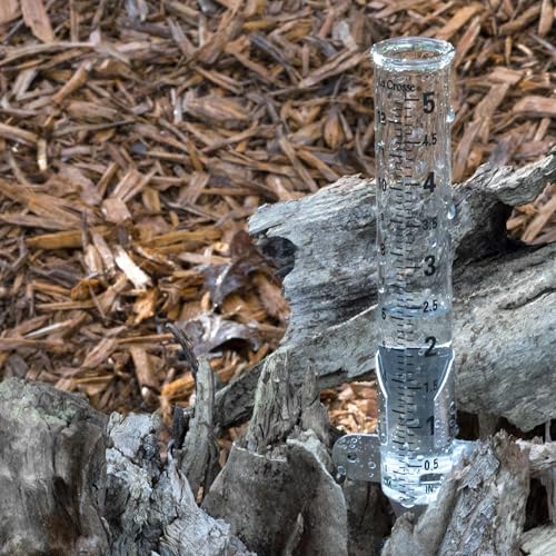 La Crosse 704-1514 5 Inch Glass Rain Gauge