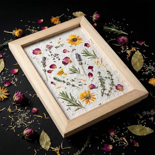 Ngdhkd 3Pcs Paper Making Frame Kit Wooden Paper Making Screen with Mesh