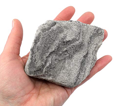 Eisco Pumice Igneous Rock Specimen, Geologist Selected & Hand Processed, 3" - size: 1 Count (Pack of 1)