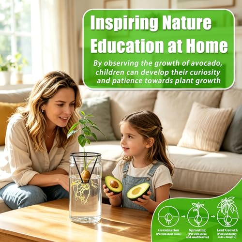 2 Pcs Avocado Tree Growing Kits Seed Starter Vase Rack, Excluding Jar - color: Black-Metal Bracket 2pcs