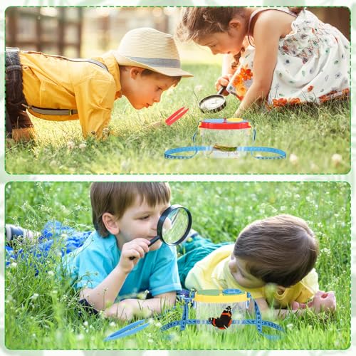 Halloscume 3 Pcs Bug Catchers for Kids Collection Viewer for Kids Critter Insect Cage Bug Tweezer Magnifying Insect Box Magnifier Container Butterfly Catcher Cage, Science Nature Exploration Tools