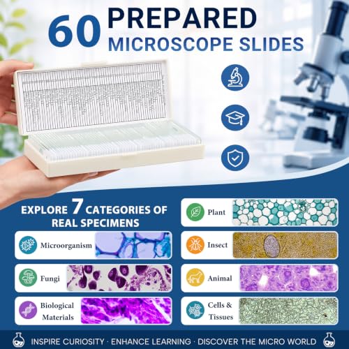 Tellegloww 60 Pcs Prepared Microscope Slides with Specimens for Kids