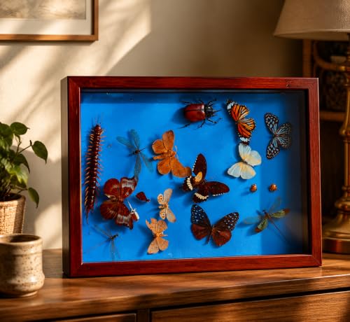Insect Pinning Kit for Beginners, Complete Bug Specimen Mounting Tools with Combination EVA Foam Board, Wing Spreading Paper, Insect Pins, Tweezers & Scissors, Butterfly Mounting Kit for Entomology - size: Insect Specimen Tools