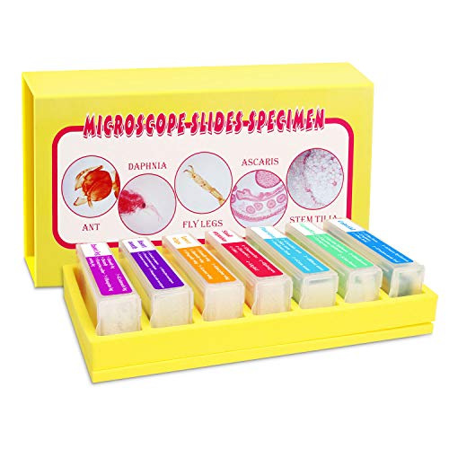 35PCS Prepared Microscope Slides with 7 Types Specimens, Insect/Plant Glass Sample Slide for Kids Adults Family Preschool Education Scientific Enlightenment - color: 35PCS
