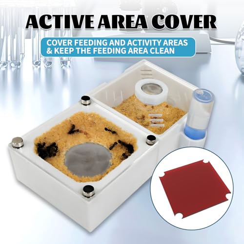 Ant Farm Habitat Kit with Water Reservoir, Scientific Observation Set (Unopenable Version)