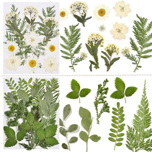 Dried Flowers for Resin - size: 68 pcs Natural Dried Flowers
