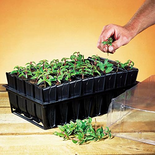 Deep Kit - Seed and Cutting Propagation (32 Cell, 5 inch)