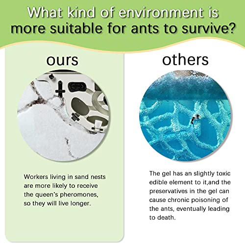 Ant Farm Castle, Ant Farm for Kids, Ant Colony Habitat Science Learning Kit - color: Ant Castle a